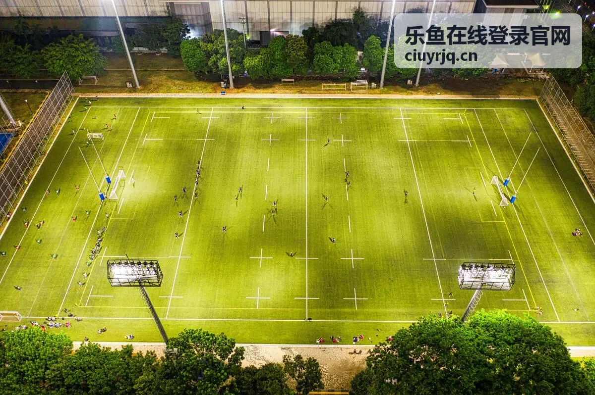 乐鱼在线登录官网平台服务概览